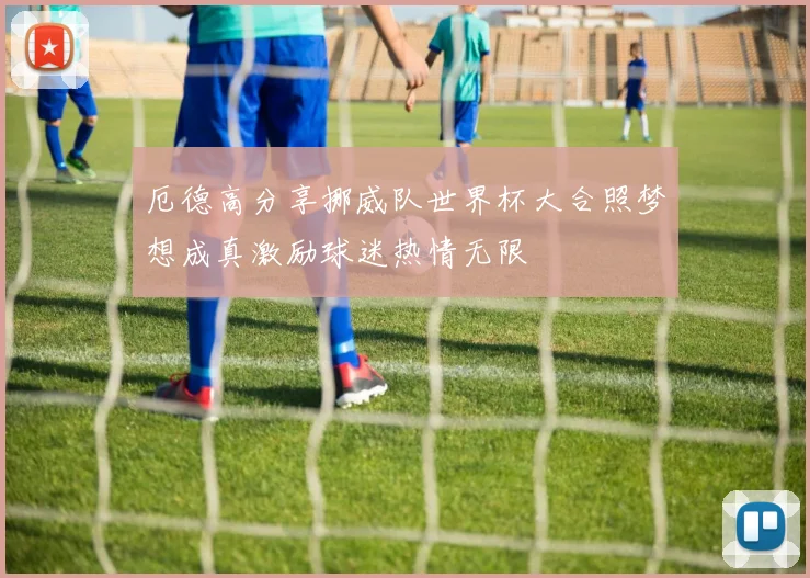 厄德高分享挪威队世界杯大合照梦想成真激励球迷热情无限