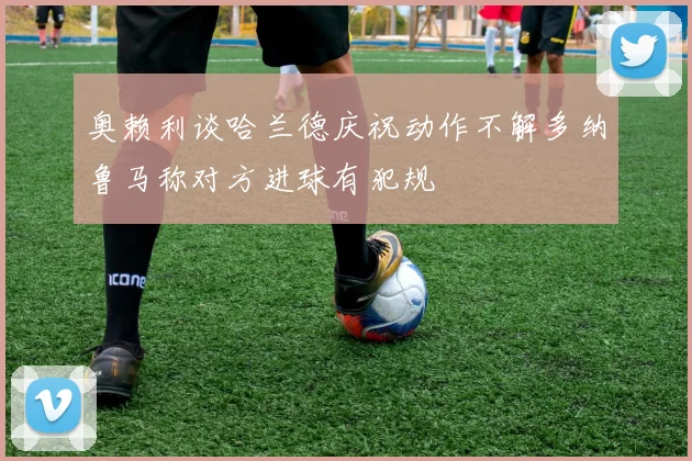 奥赖利谈哈兰德庆祝动作不解多纳鲁马称对方进球有犯规